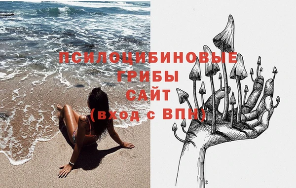 каннабис Арсеньев