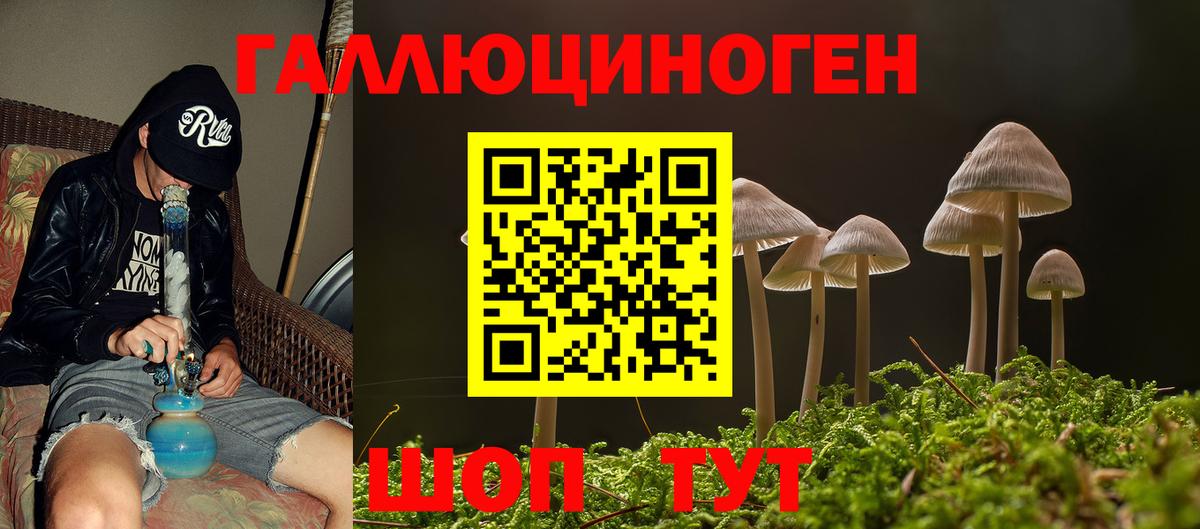Кировск  Галлюциногенные грибы Psilocybe  Галлюциногенные грибы мицелий  Вход с VPN 