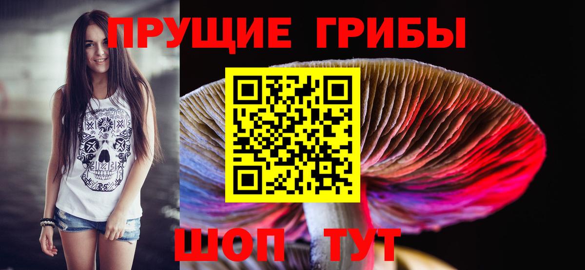 Галлюциногенные грибы Psilocybe Кировск