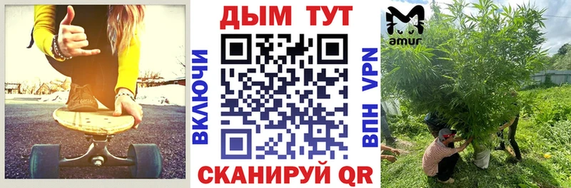 Конопля гибрид  Кировск 